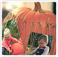 photojojo Pumpkin Photo Holder